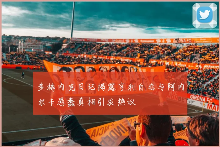 多梅内克日记揭露亨利自恋与阿内尔卡愚蠢真相引发热议
