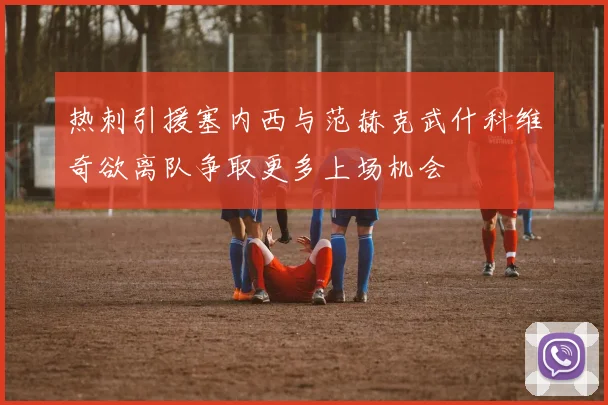 热刺引援塞内西与范赫克武什科维奇欲离队争取更多上场机会