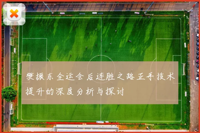 樊振东全运会后连胜之路正手技术提升的深度分析与探讨